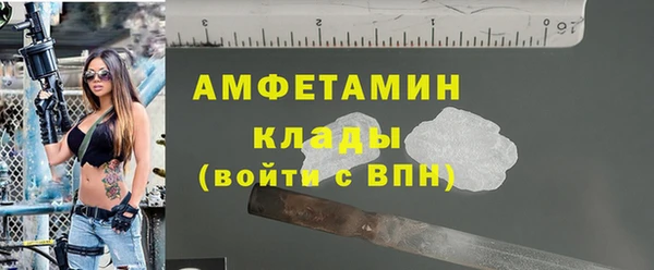 индика Беломорск