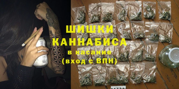 индика Беломорск