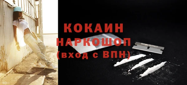 амф Заволжье