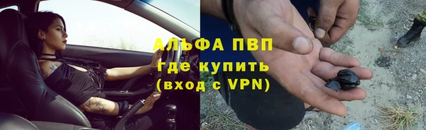 молекула духа Богородицк