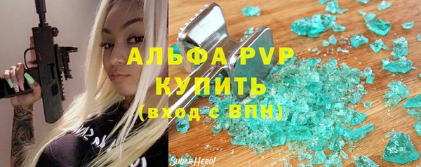 молекула духа Богородицк