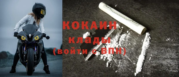 индика Беломорск