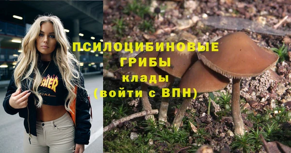 марки nbome Белокуриха