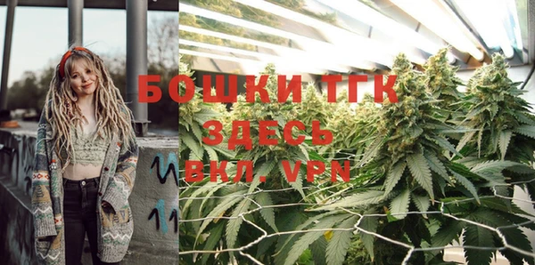 индика Беломорск